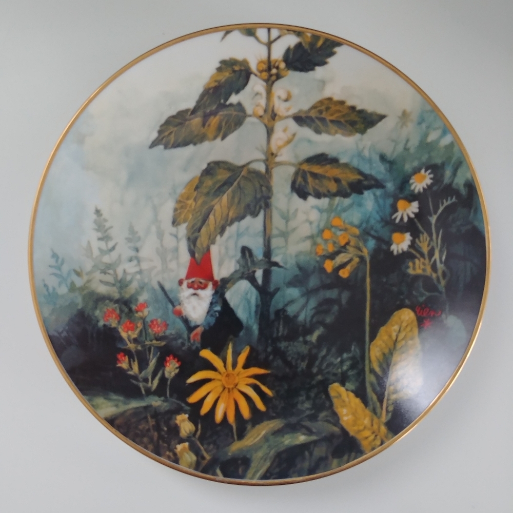 Gnome de Bloom by Rien Poortvliet